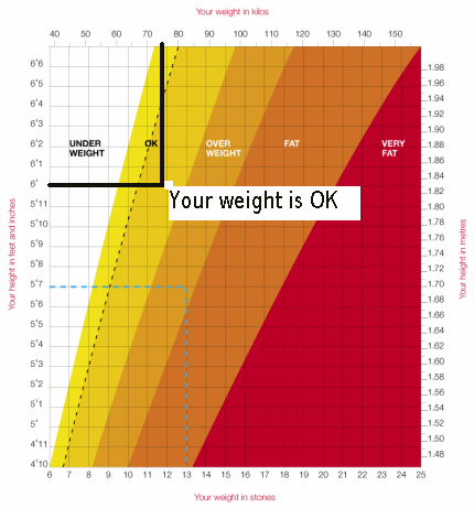 Weight Chart According To Height For Females