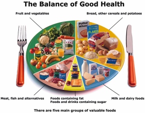 Well Balanced Meal Chart