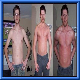 Gain Weight Fast